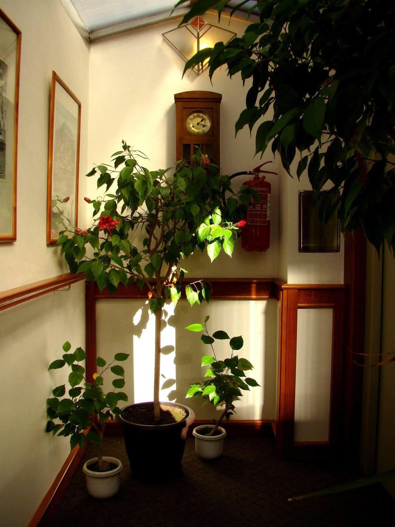 Boutique Hotel 16 Prague Luaran gambar